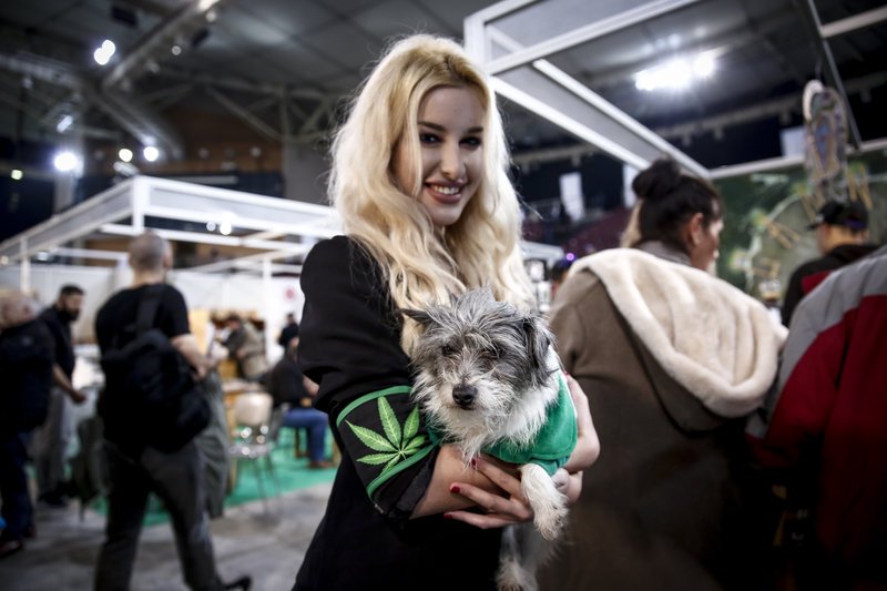 Γιώργος Παπανδρέου και Νίκος Καρανίκας στην πρώτη έκθεση κάνναβης στην Ελλάδα [εικόνες] | iefimerida.gr 7