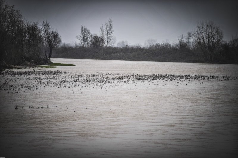 «Φούσκωσε» επικίνδυνα ο Πηνειός -Φόβοι για πλημμύρες [εικόνες] | iefimerida.gr 2