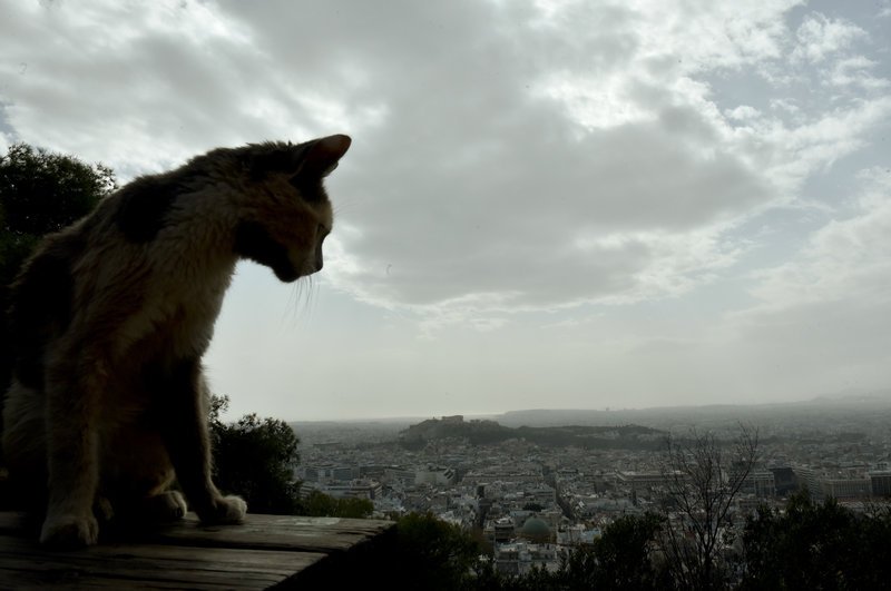 Αφρικανική σκόνη και λασποβροχή «έπνιξαν» την Αθήνα [εικόνες] | iefimerida.gr 2
