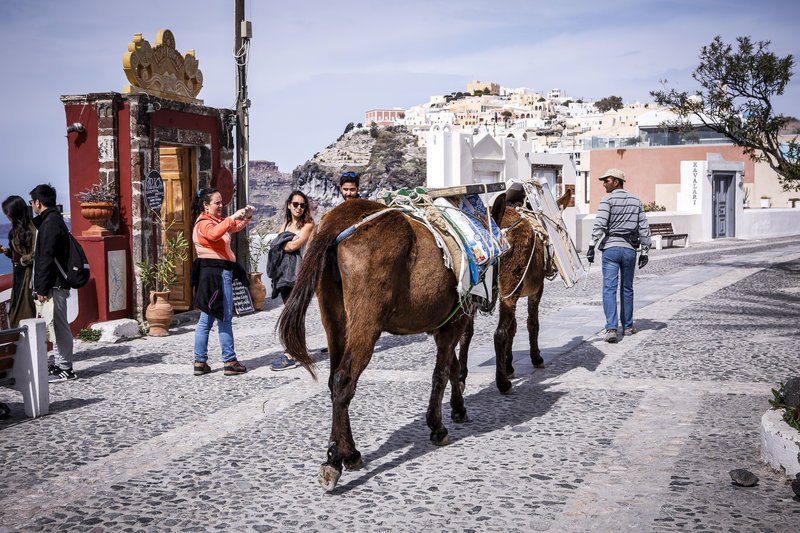 Ετοιμη για το Πάσχα η Σαντορίνη -Ασβεστώθηκαν τα σοκάκια, στους φούρνους τα μελιτίνια [εικόνες] | iefimerida.gr 3