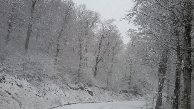 Κακοκαιρία: Πέφτει πολύ χιόνι και στην ορεινή Ναυπακτία [εικόνες] | iefimerida.gr 0