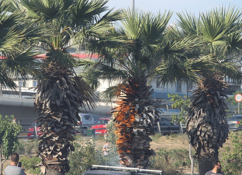 Επεισόδια ξανά έξω από το ΣΕΦ -Μολότοφ, καμένο βαν, 3 τραυματίες αστυνομικοί [εικόνες & βίντεο] | iefimerida.gr 5