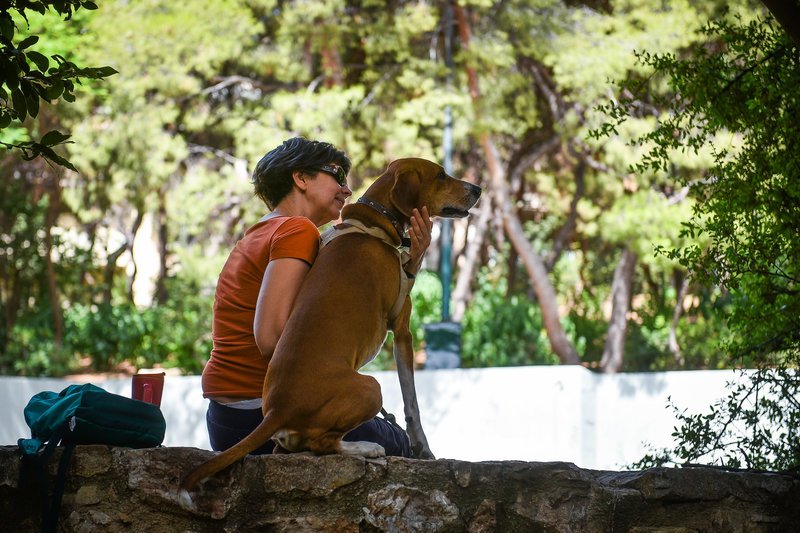 Ανάσα δροσιάς στο Αλσος Παγκρατίου