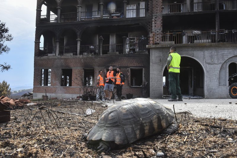 Εικόνες καταστροφής από το Λύρειο Ιδρυμα -Στάχτη και αποκαΐδια [εικόνες]  | iefimerida.gr 1