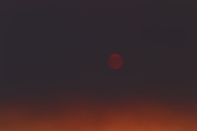 Ο ήλιος στην Αττική κρύφτηκε από τον καπνό της φωτιάς στην Εύβοια [εικόνες] | iefimerida.gr 3