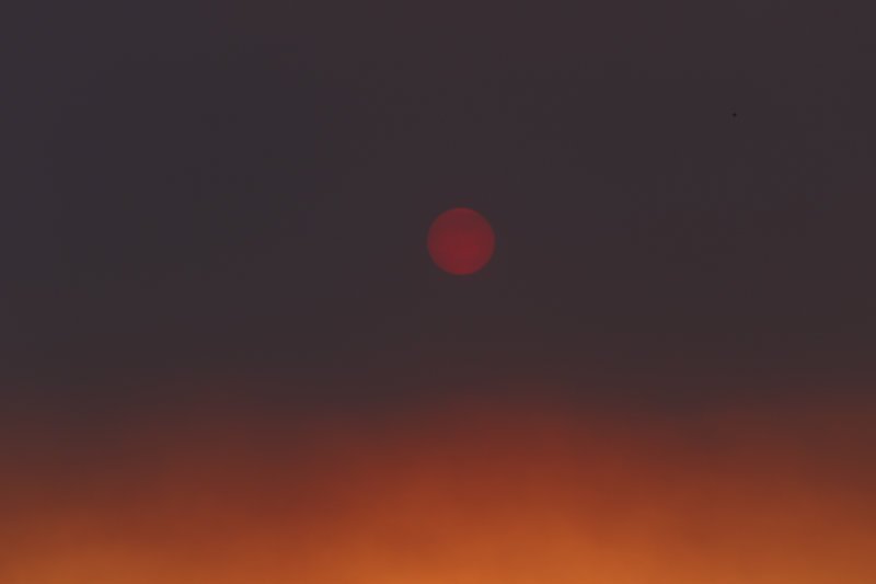 Ο ήλιος στην Αττική κρύφτηκε από τον καπνό της φωτιάς στην Εύβοια [εικόνες] | iefimerida.gr 0