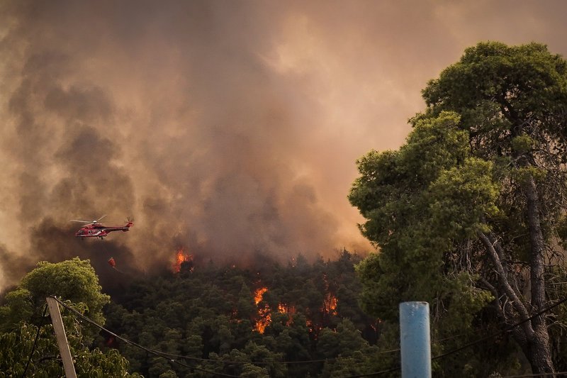 Δύσκολη νύχτα στην Ηλεία -Εκτός ελέγχου η πυρκαγιά στη Δαφνιώτισσα [εικόνες & βίντεο] | iefimerida.gr 7