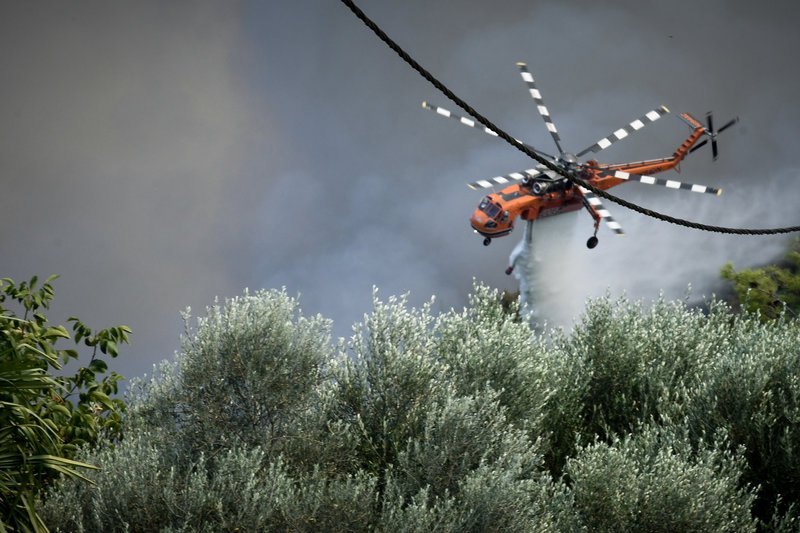 Δύσκολη νύχτα στην Ηλεία -Εκτός ελέγχου η πυρκαγιά στη Δαφνιώτισσα [εικόνες & βίντεο] | iefimerida.gr 9