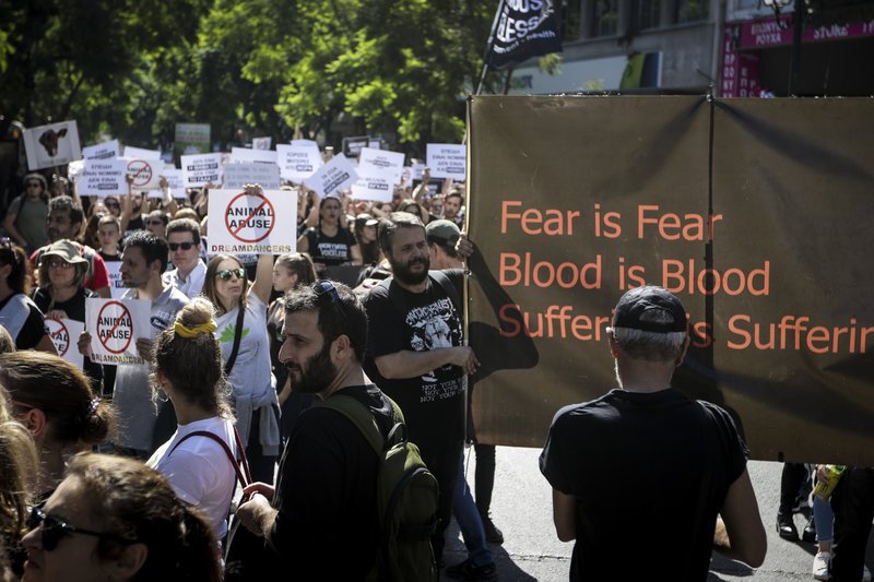 Φώναξαν για τα δικαιώματα των ζώων