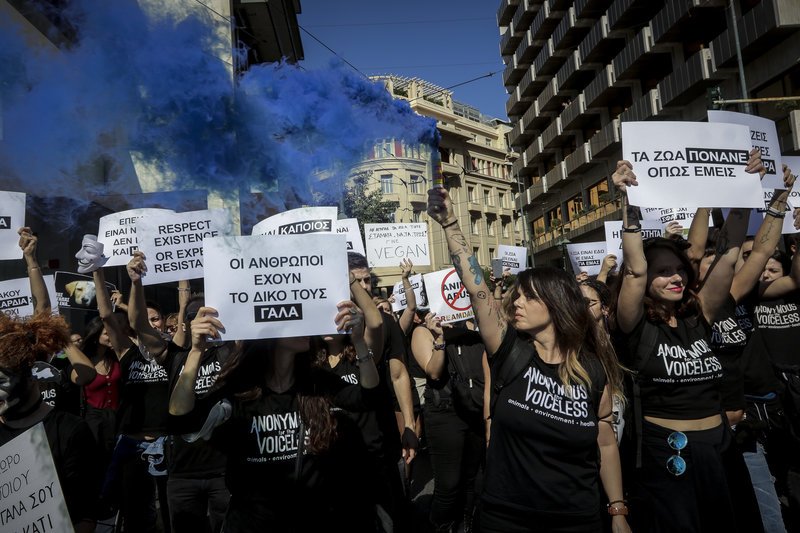 Η πορεία κατέληξε στο Σύνταγμα με τους συγκεντρωθέντες να δίνουν ηχηρό και... χρωματιστό παρών