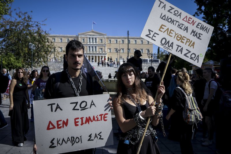 Οι συγκεντρωθέντες κρατούσαν πλακάτ με συνθήματα όπως «Τα ζώα δεν είμαστε σκλάβοι σας» και «τα ζώα δεν είναι ιδιοκτησία μας»
