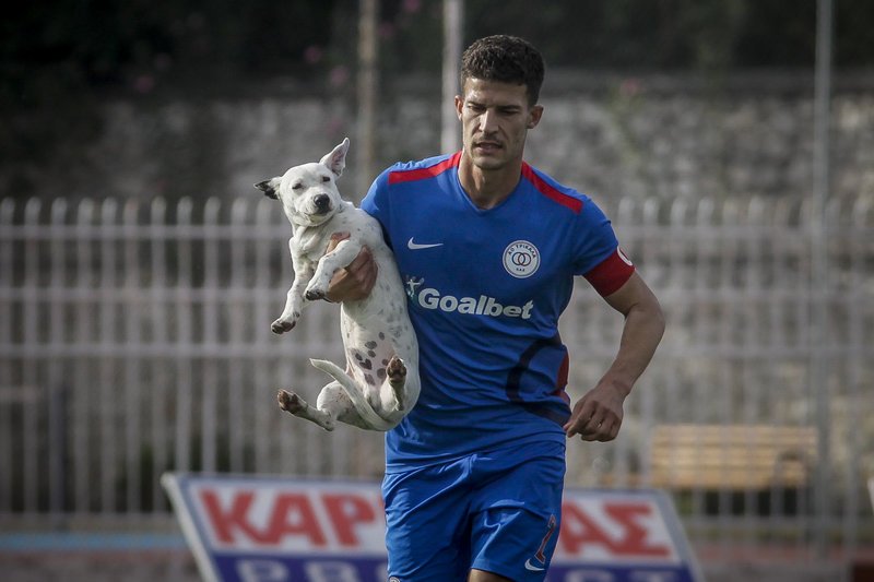 Ο ξεχωριστός «φίλαθλος» που εισέβαλε στο γήπεδο των Τρικάλων -Ηθελε χάδια και παιχνίδι [εικόνες] | iefimerida.gr 3