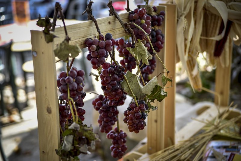 Αναψαν τα καζάνια: Γιορτή τσίπουρου και κάστανου στην Ροδαυγή Αρτας [εικόνες] | iefimerida.gr 7