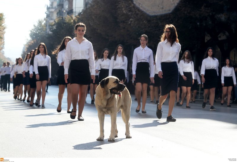 Η μαθητική παρέλαση στη Θεσσαλονίκη: Μίνι φούστες, η Νοτοπούλου και το τούλινο φόρεμα της Πατουλίδου [εικόνες] | iefimerida.gr 17