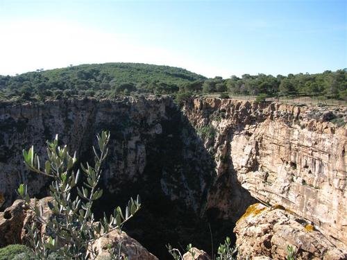 10 συν 2 προτάσεις για να πιάσετε τον Μάη -Πράσινες οάσεις στην Αττική [εικόνες] | iefimerida.gr 8