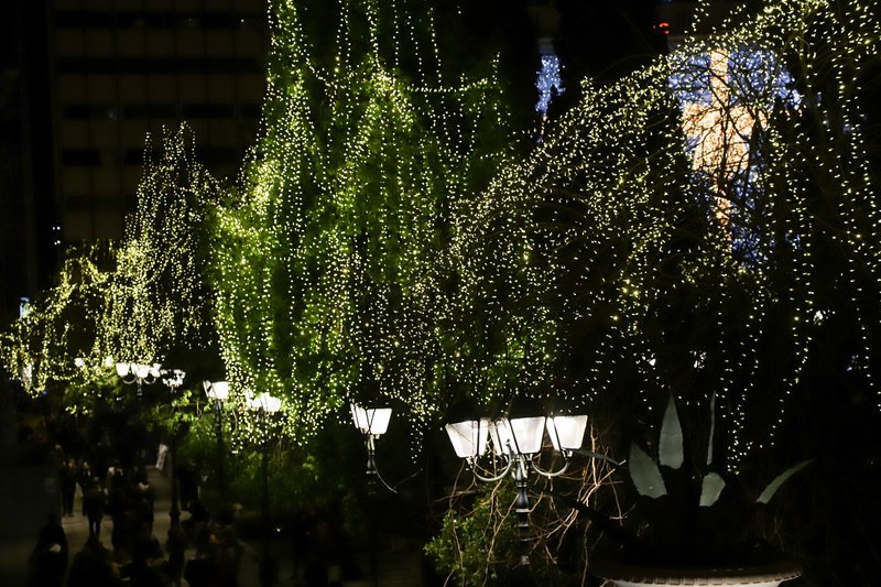 Τα δέντρα της πλατείας Συντάγματος γέμισαν λαμπάκια