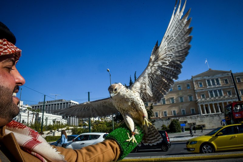 Το γεράκι με τον γερακάρη του