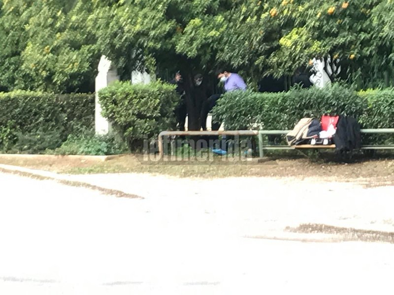 Ανδρας βρέθηκε κρεμασμένος στο Ζάππειο - Δίπλα από καφετέρια | iefimerida.gr 6