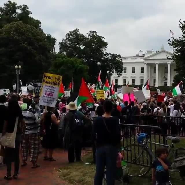Χιλιάδες σημαίες της Παλαιστίνης έξω από το Λευκό Οίκο -Διαμαρτυρία για το μακελειό στη Γάζα [εικόνες] | iefimerida.gr 4