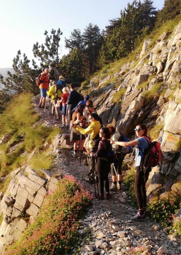 Κυριακάτικες αποδράσεις στην πόλη: Πεζοπορία σε Πάρνηθα, Υμηττό, Πεντέλη [εικόνες]  | iefimerida.gr 3