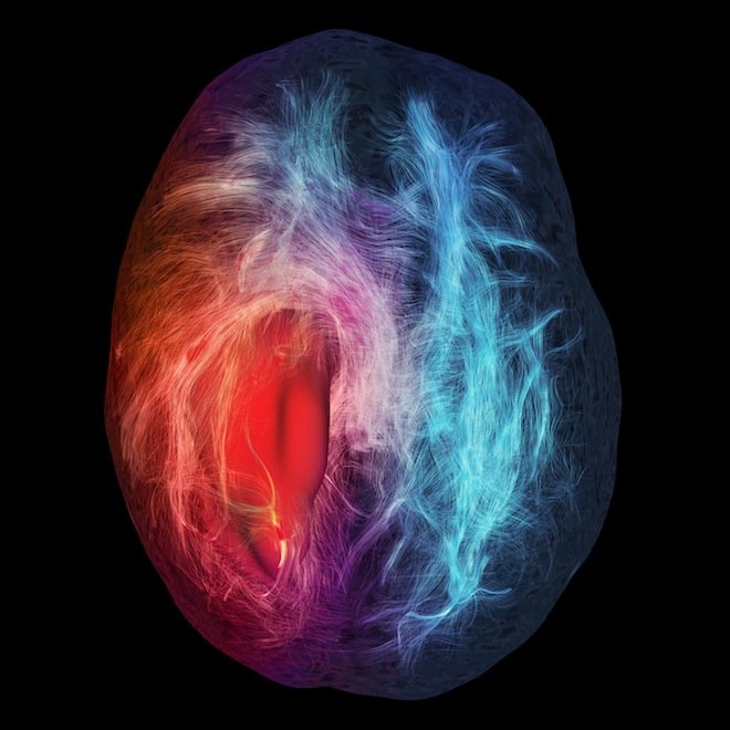 Επιστήμη σε 3D - Οι νικητές του διαγωνισμού επιστημονικής οπτικοποίησης 2012 [εικόνες] | iefimerida.gr 4