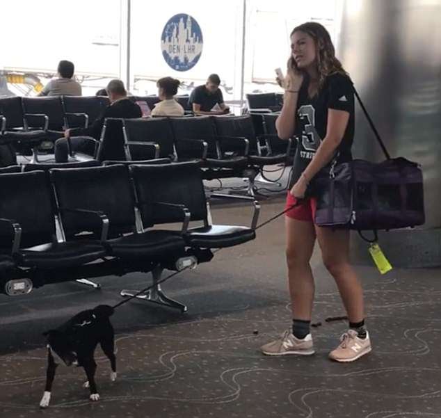 Ολο το Ιντερνετ ψάχνει (και βρίζει) αυτή την κοπέλα που δεν μάζεψε τις ακαθαρσίες του σκύλου της, σε αεροδρόμιο [βίντεο] | iefimerida.gr 0