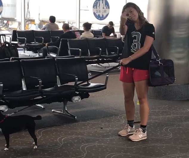 Ολο το Ιντερνετ ψάχνει (και βρίζει) αυτή την κοπέλα που δεν μάζεψε τις ακαθαρσίες του σκύλου της, σε αεροδρόμιο [βίντεο] | iefimerida.gr 1