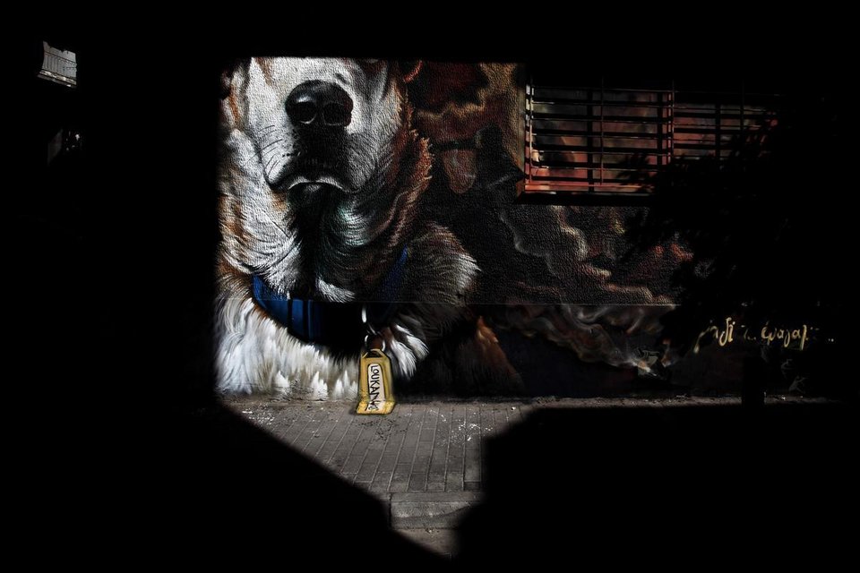 Τα γεγονότα που σημάδεψαν την Ελλάδα το 2014 μέσα από 73 φωτογραφίες [εικόνες] | iefimerida.gr 39