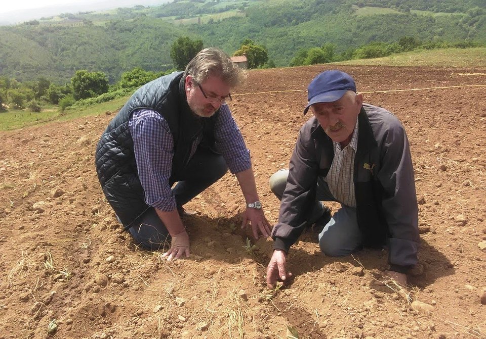 Το θεραπευτικό τσάι Ολύμπου από το Ελατοχώρι Πιερίας -Ιούνιο ξεκινά η συλλογή του [εικόνες]  | iefimerida.gr 1