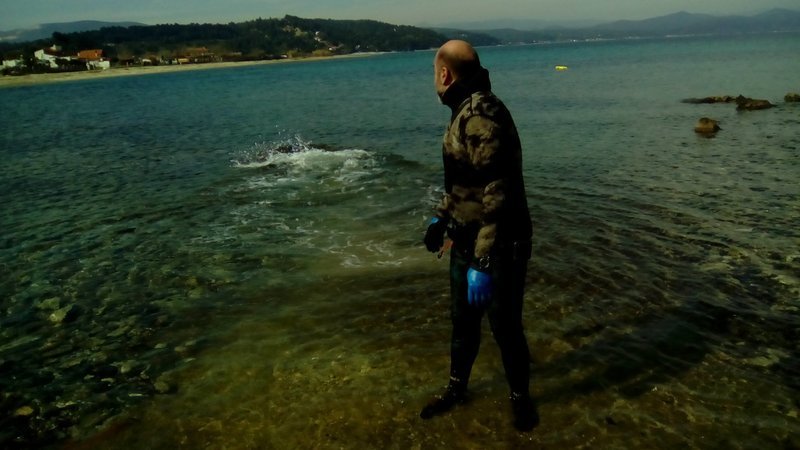 Ετσι σώθηκε μια μικρή φώκια στην Σιθωνία Χαλκιδικής [εικόνες] | iefimerida.gr 6