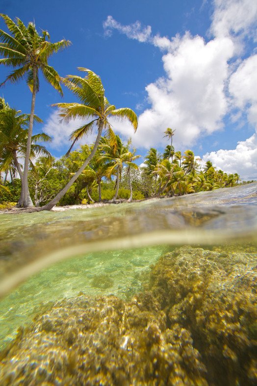 8 νησιά που κοστίζουν λιγότερο από ένα διαμέρισμα -Σκέτοι επίγειοι παράδεισοι [εικόνες] | iefimerida.gr 4