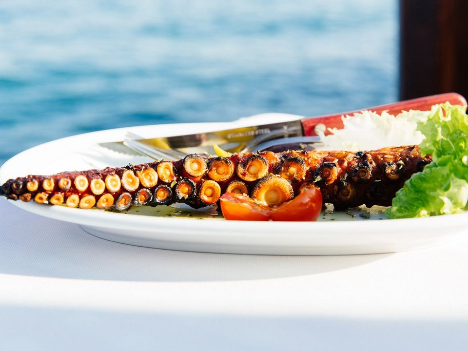 Μάζεψαν ελιές στη Λακωνία, εξερεύνησαν την άγρια Ν. Ελλάδα: Το road trip Αμερικανών που τους μάγεψε [εικόνες] | iefimerida.gr 8