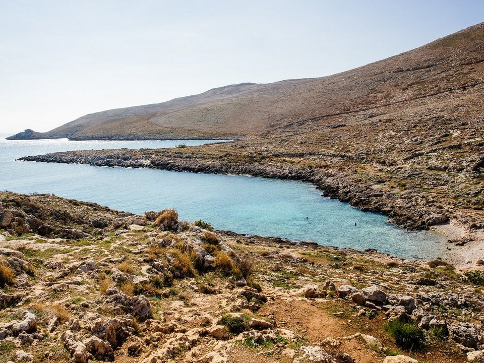 Μάζεψαν ελιές στη Λακωνία, εξερεύνησαν την άγρια Ν. Ελλάδα: Το road trip Αμερικανών που τους μάγεψε [εικόνες] | iefimerida.gr 2
