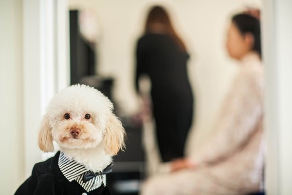 Οι 10 καλύτερες αστείες φωτογραφίες γάμου [εικόνες] | iefimerida.gr 7