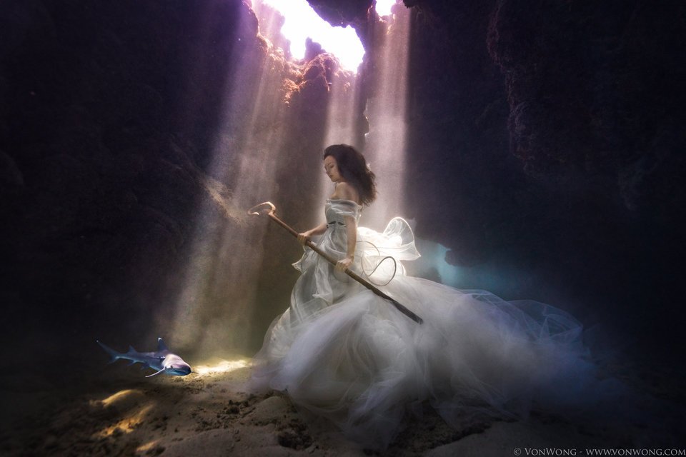 Μοντέλο ποζάρει με αληθινούς καρχαρίες [εικόνες & βίντεο] | iefimerida.gr 0