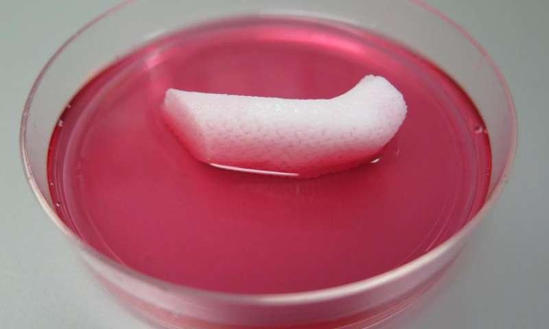 Επιστήμονες «εκτύπωσαν» ανθρώπινο αυτί -Ερχονται τα τρισδιάστατα μοσχεύματα [εικόνες & βίντεο] | iefimerida.gr 0