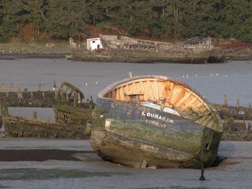 Το... νεκροταφείο για βάρκες στην όχθη ενός ποταμού [εικόνες] | iefimerida.gr 1