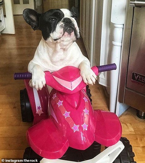 Μετά τα Rich Kids, ήρθαν τα κακομαθημένα πλουσιόσκυλα του Instagram -Χλιδάτα ρούχα, ιδιωτικά τζετ και... γκουρμεδιές [εικόνες] | iefimerida.gr 26