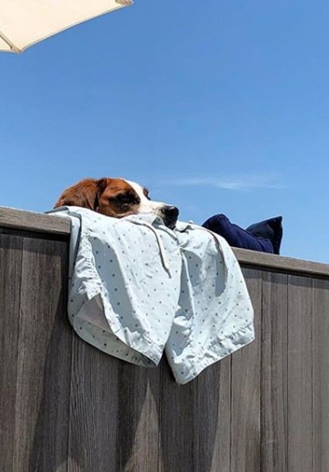 Μετά τα Rich Kids, ήρθαν τα κακομαθημένα πλουσιόσκυλα του Instagram -Χλιδάτα ρούχα, ιδιωτικά τζετ και... γκουρμεδιές [εικόνες] | iefimerida.gr 12