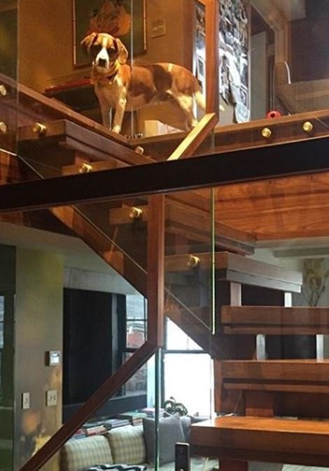 Μετά τα Rich Kids, ήρθαν τα κακομαθημένα πλουσιόσκυλα του Instagram -Χλιδάτα ρούχα, ιδιωτικά τζετ και... γκουρμεδιές [εικόνες] | iefimerida.gr 13