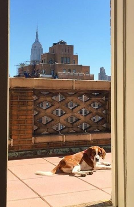 Μετά τα Rich Kids, ήρθαν τα κακομαθημένα πλουσιόσκυλα του Instagram -Χλιδάτα ρούχα, ιδιωτικά τζετ και... γκουρμεδιές [εικόνες] | iefimerida.gr 9