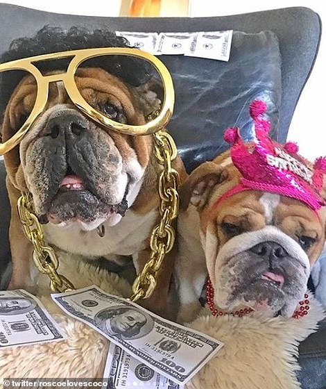 Μετά τα Rich Kids, ήρθαν τα κακομαθημένα πλουσιόσκυλα του Instagram -Χλιδάτα ρούχα, ιδιωτικά τζετ και... γκουρμεδιές [εικόνες] | iefimerida.gr 0