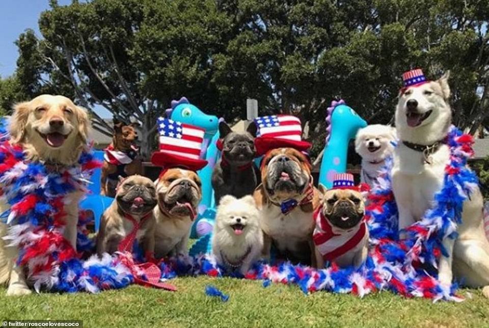 Μετά τα Rich Kids, ήρθαν τα κακομαθημένα πλουσιόσκυλα του Instagram -Χλιδάτα ρούχα, ιδιωτικά τζετ και... γκουρμεδιές [εικόνες] | iefimerida.gr 2