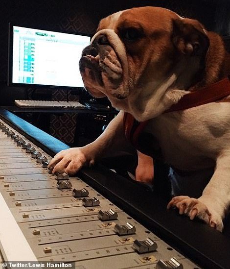 Μετά τα Rich Kids, ήρθαν τα κακομαθημένα πλουσιόσκυλα του Instagram -Χλιδάτα ρούχα, ιδιωτικά τζετ και... γκουρμεδιές [εικόνες] | iefimerida.gr 7