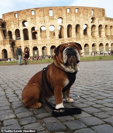 Μετά τα Rich Kids, ήρθαν τα κακομαθημένα πλουσιόσκυλα του Instagram -Χλιδάτα ρούχα, ιδιωτικά τζετ και... γκουρμεδιές [εικόνες] | iefimerida.gr 6