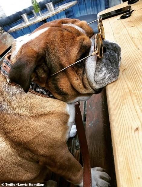 Μετά τα Rich Kids, ήρθαν τα κακομαθημένα πλουσιόσκυλα του Instagram -Χλιδάτα ρούχα, ιδιωτικά τζετ και... γκουρμεδιές [εικόνες] | iefimerida.gr 4