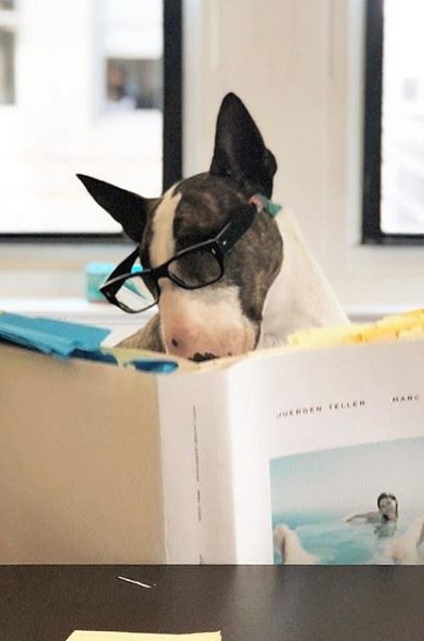 Μετά τα Rich Kids, ήρθαν τα κακομαθημένα πλουσιόσκυλα του Instagram -Χλιδάτα ρούχα, ιδιωτικά τζετ και... γκουρμεδιές [εικόνες] | iefimerida.gr 22