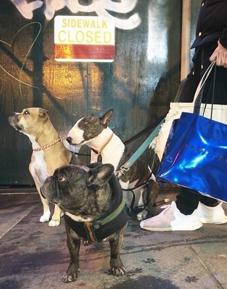 Μετά τα Rich Kids, ήρθαν τα κακομαθημένα πλουσιόσκυλα του Instagram -Χλιδάτα ρούχα, ιδιωτικά τζετ και... γκουρμεδιές [εικόνες] | iefimerida.gr 17