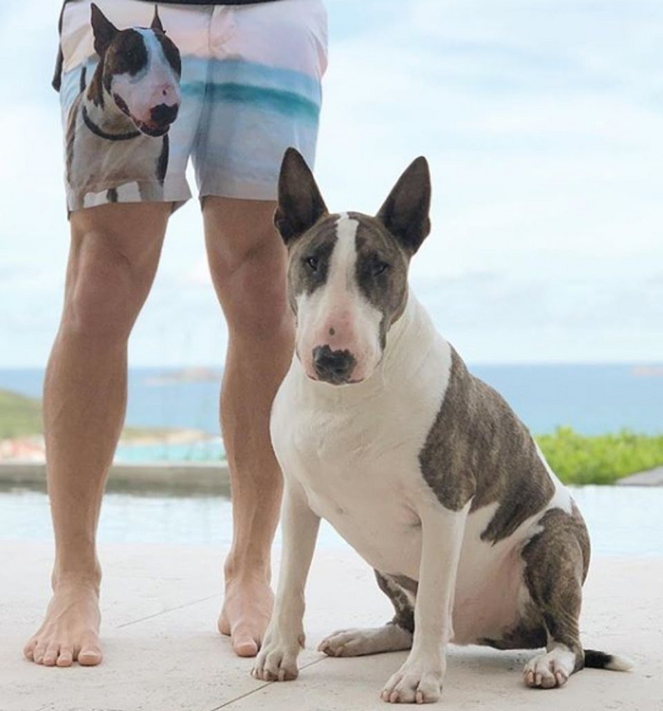 Μετά τα Rich Kids, ήρθαν τα κακομαθημένα πλουσιόσκυλα του Instagram -Χλιδάτα ρούχα, ιδιωτικά τζετ και... γκουρμεδιές [εικόνες] | iefimerida.gr 16