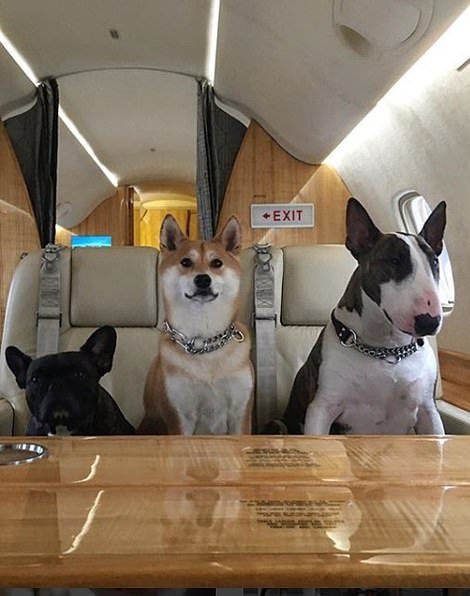 Μετά τα Rich Kids, ήρθαν τα κακομαθημένα πλουσιόσκυλα του Instagram -Χλιδάτα ρούχα, ιδιωτικά τζετ και... γκουρμεδιές [εικόνες] | iefimerida.gr 18